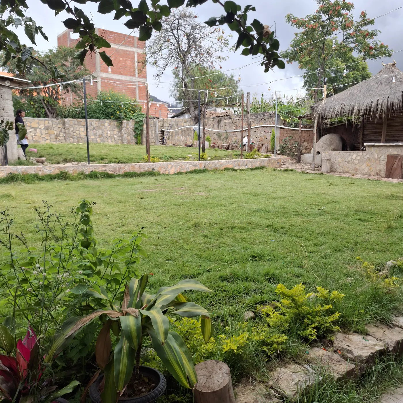 Jardín del hostal con césped, plantas y una cabaña de techo de paja